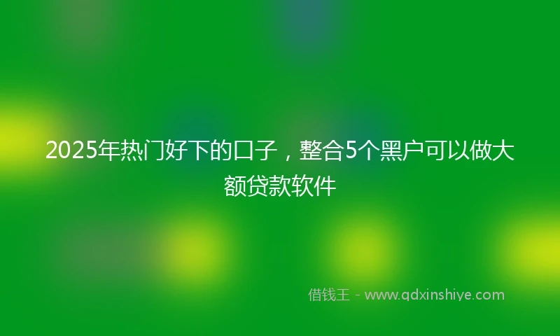 2025年热门好下的口子，整合5个黑户可以做大额贷款软件