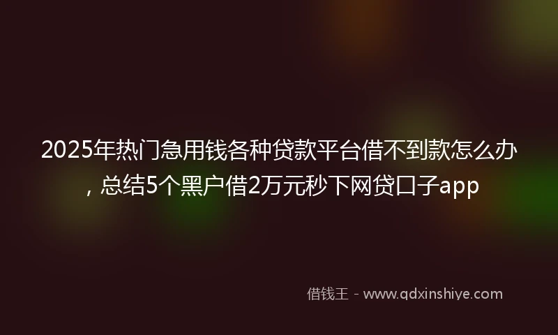 2025年热门急用钱各种贷款平台借不到款怎么办，总结5个黑户借2万元秒下网贷口子app