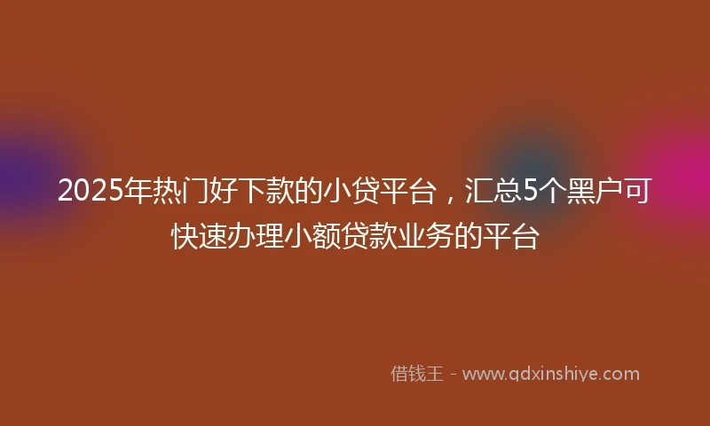 2025年热门好下款的小贷平台，汇总5个黑户可快速办理小额贷款业务的平台