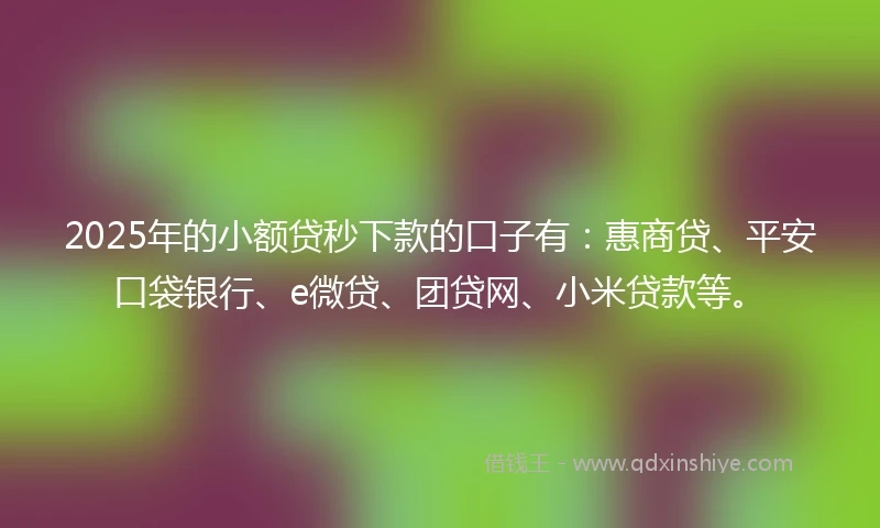 2025年的小额贷秒下款的口子有：惠商贷、平安口袋银行、e微贷、团贷网、小米贷款等。