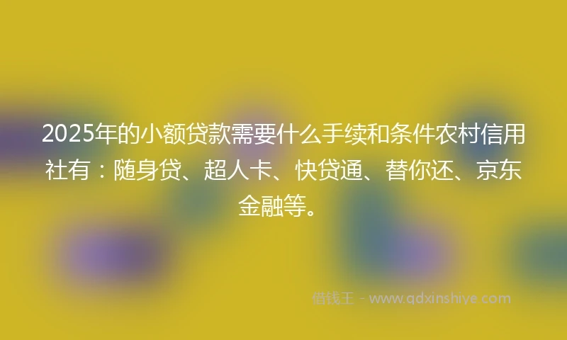 2025年的小额贷款需要什么手续和条件农村信用社有：随身贷、超人卡、快贷通、替你还、京东金融等。