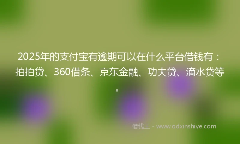 2025年的支付宝有逾期可以在什么平台借钱有：拍拍贷、360借条、京东金融、功夫贷、滴水贷等。