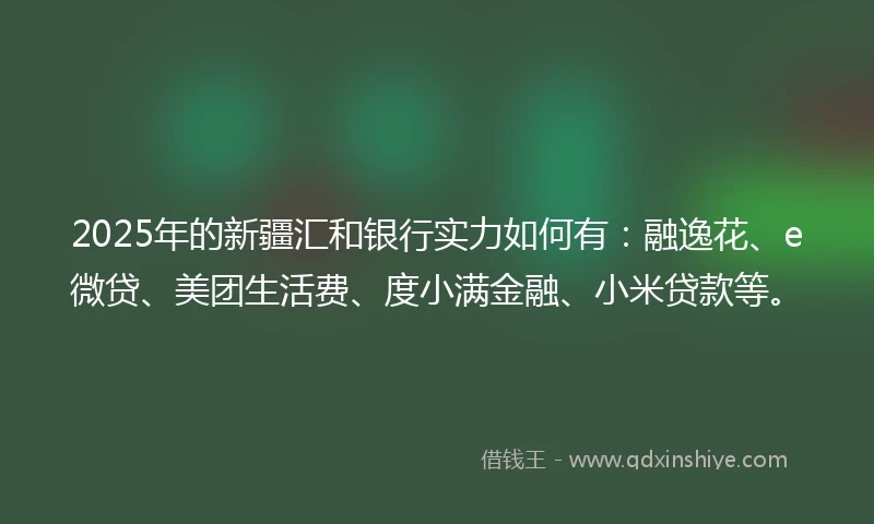 2025年的新疆汇和银行实力如何有：融逸花、e微贷、美团生活费、度小满金融、小米贷款等。