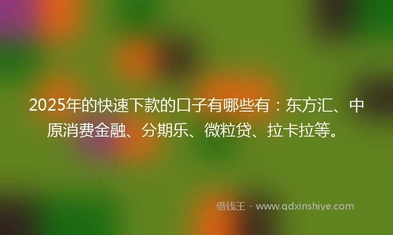 2025年的快速下款的口子有哪些有：东方汇、中原消费金融、分期乐、微粒贷、拉卡拉等。