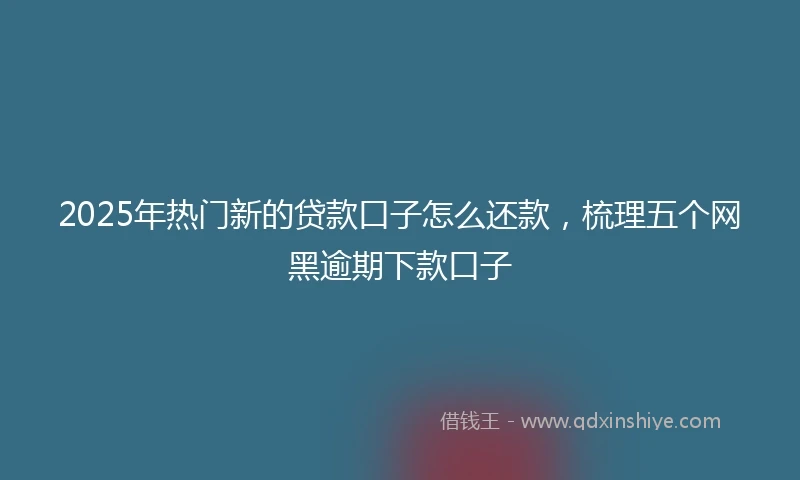 2025年热门新的贷款口子怎么还款，梳理五个网黑逾期下款口子