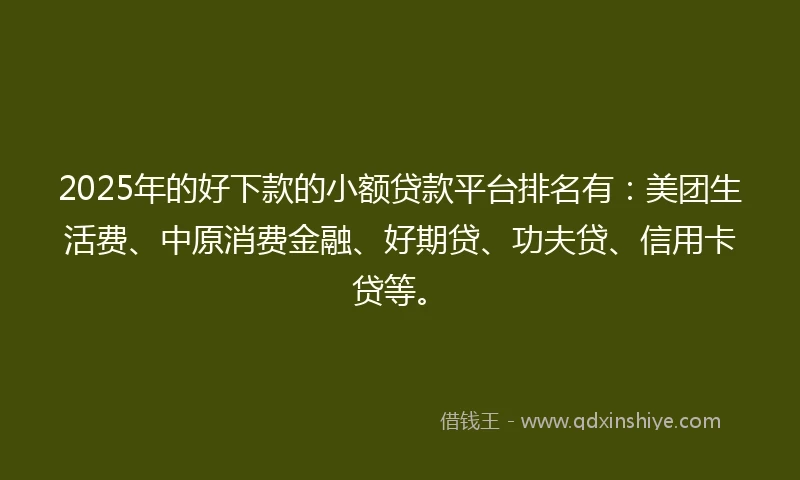 2025年的好下款的小额贷款平台排名有：美团生活费、中原消费金融、好期贷、功夫贷、信用卡贷等。