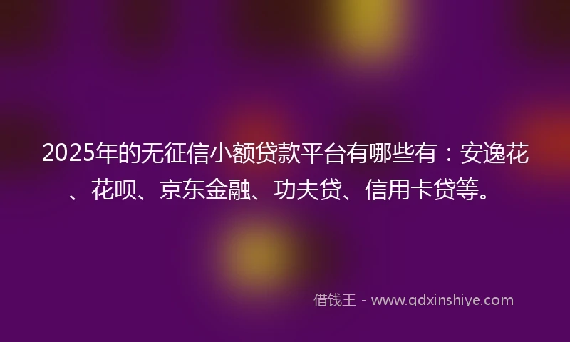 2025年的无征信小额贷款平台有哪些有：安逸花、花呗、京东金融、功夫贷、信用卡贷等。