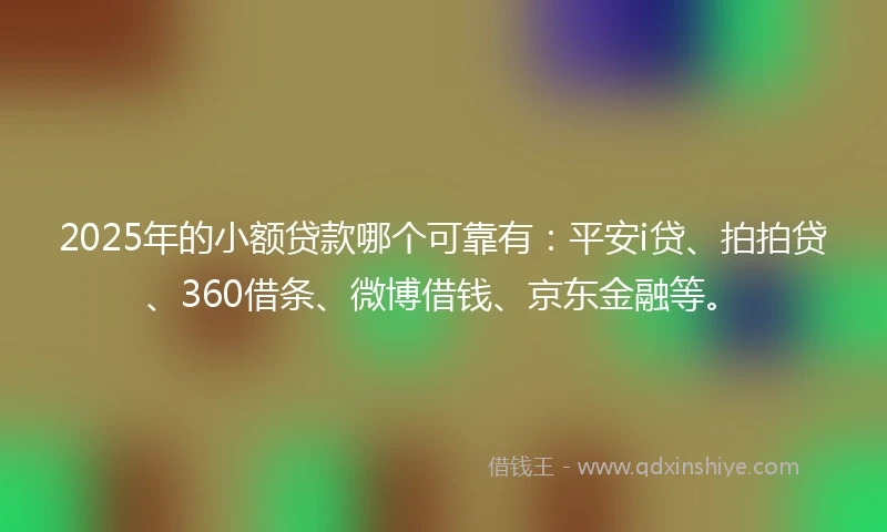 2025年的小额贷款哪个可靠有：平安i贷、拍拍贷、360借条、微博借钱、京东金融等。