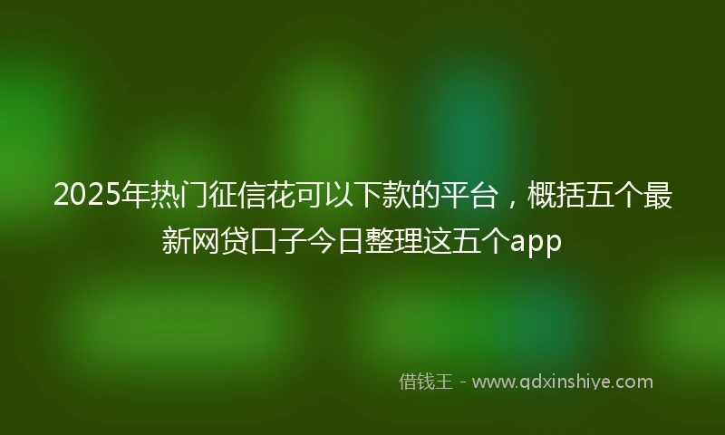 2025年热门征信花可以下款的平台，概括五个最新网贷口子今日整理这五个app