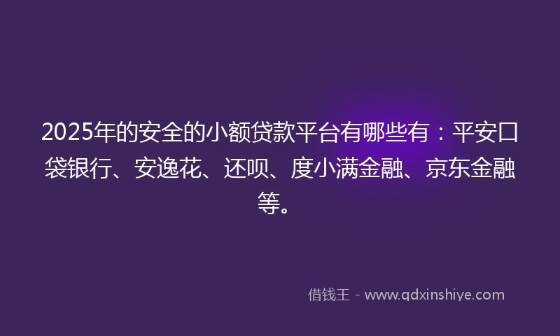 2025年的安全的小额贷款平台有哪些有：平安口袋银行、安逸花、还呗、度小满金融、京东金融等。