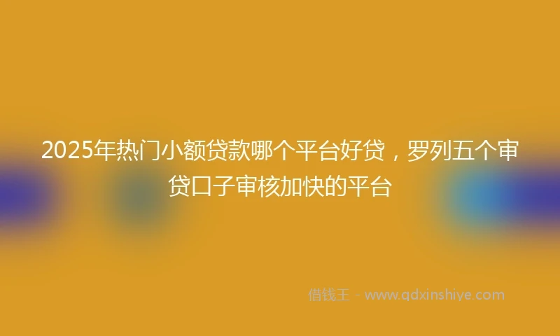 2025年热门小额贷款哪个平台好贷，罗列五个审贷口子审核加快的平台