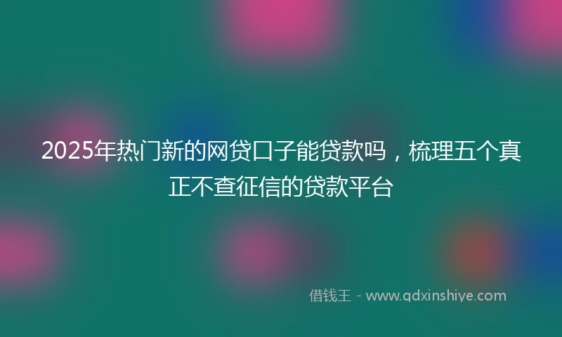 2025年热门新的网贷口子能贷款吗，梳理五个真正不查征信的贷款平台