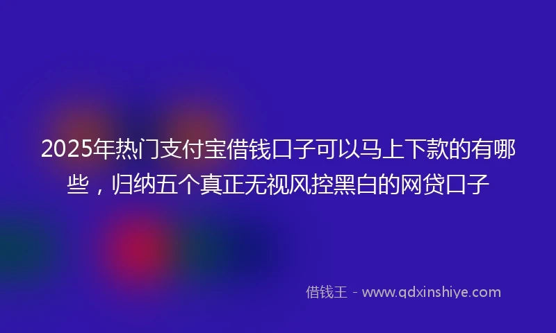 2025年热门支付宝借钱口子可以马上下款的有哪些，归纳五个真正无视风控黑白的网贷口子