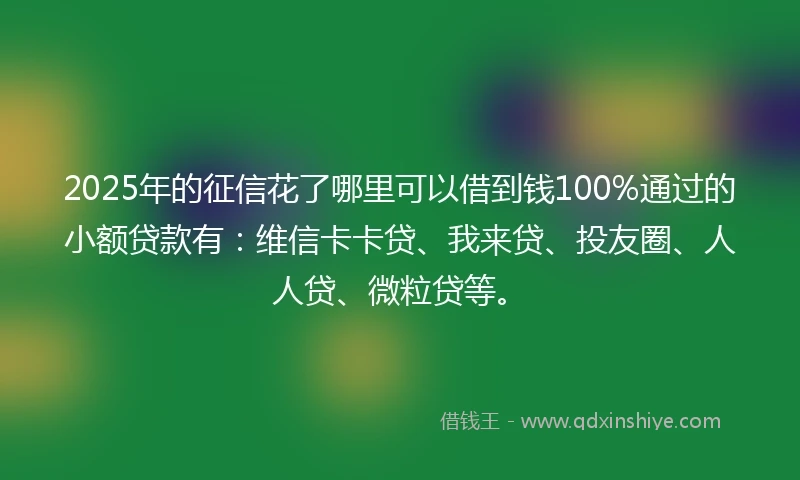 2025年的征信花了哪里可以借到钱100%通过的小额贷款有：维信卡卡贷、我来贷、投友圈、人人贷、微粒贷等。