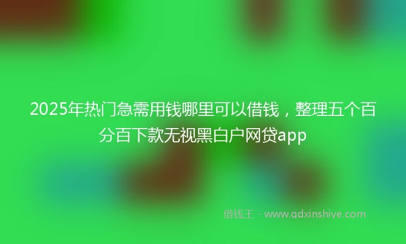 2025年热门急需用钱哪里可以借钱，整理五个百分百下款无视黑白户网贷app