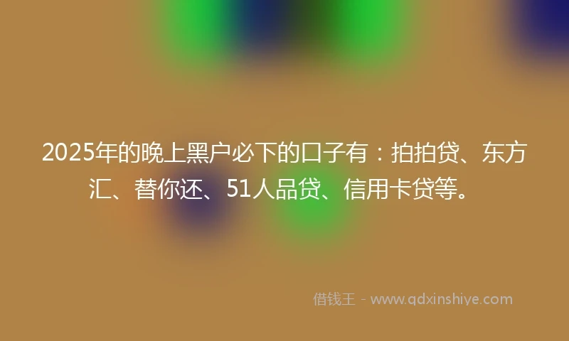2025年的晚上黑户必下的口子有：拍拍贷、东方汇、替你还、51人品贷、信用卡贷等。