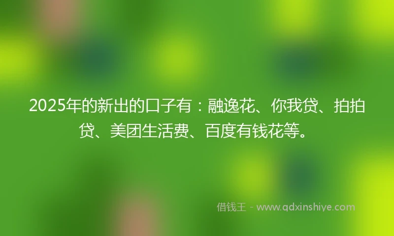 2025年的新出的口子有：融逸花、你我贷、拍拍贷、美团生活费、百度有钱花等。