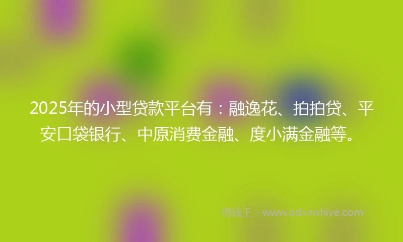 2025年的小型贷款平台有：融逸花、拍拍贷、平安口袋银行、中原消费金融、度小满金融等。