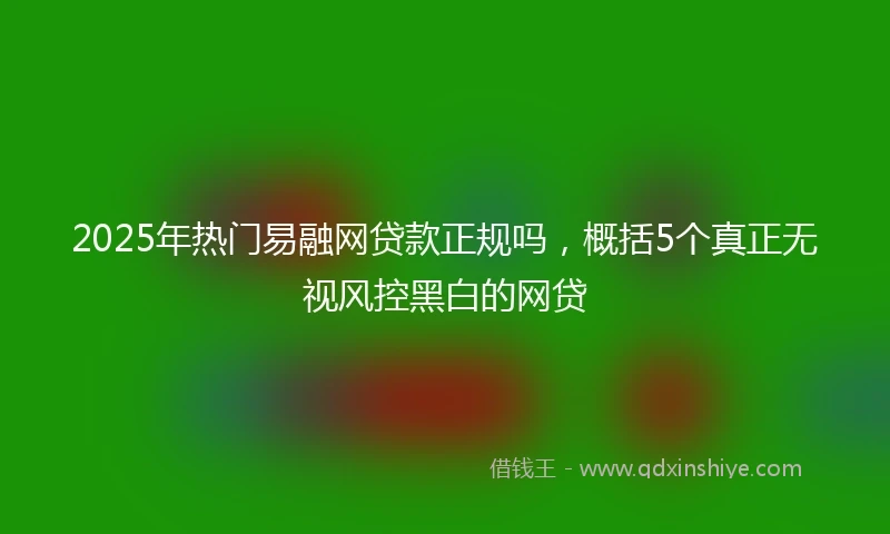 2025年热门易融网贷款正规吗，概括5个真正无视风控黑白的网贷