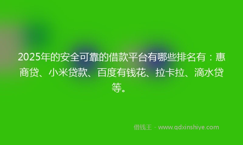 2025年的安全可靠的借款平台有哪些排名有：惠商贷、小米贷款、百度有钱花、拉卡拉、滴水贷等。