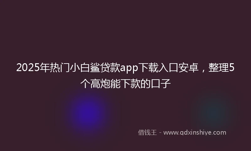 2025年热门小白鲨贷款app下载入口安卓，整理5个高炮能下款的口子