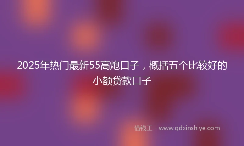 2025年热门最新55高炮口子，概括五个比较好的小额贷款口子