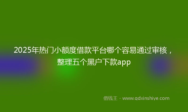 2025年热门小额度借款平台哪个容易通过审核，整理五个黑户下款app