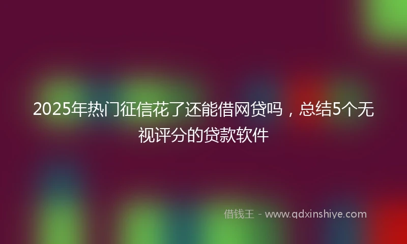 2025年热门征信花了还能借网贷吗，总结5个无视评分的贷款软件