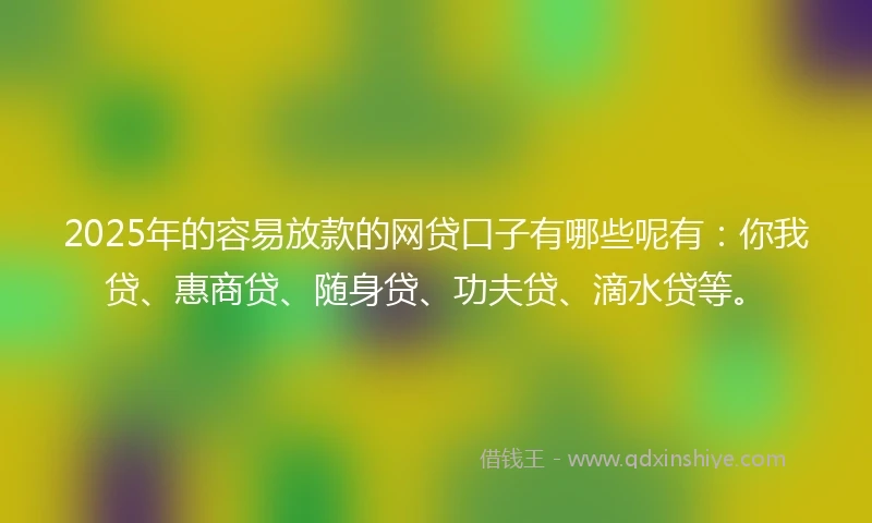 2025年的容易放款的网贷口子有哪些呢有：你我贷、惠商贷、随身贷、功夫贷、滴水贷等。