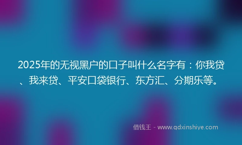 2025年的无视黑户的口子叫什么名字有：你我贷、我来贷、平安口袋银行、东方汇、分期乐等。