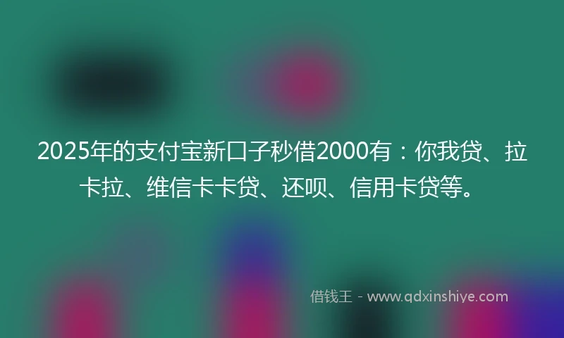 2025年的支付宝新口子秒借2000有：你我贷、拉卡拉、维信卡卡贷、还呗、信用卡贷等。
