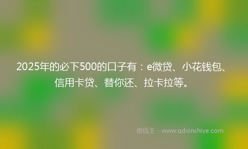 2025年的必下500的口子有：e微贷、小花钱包、信用卡贷、替你还、拉卡拉等。