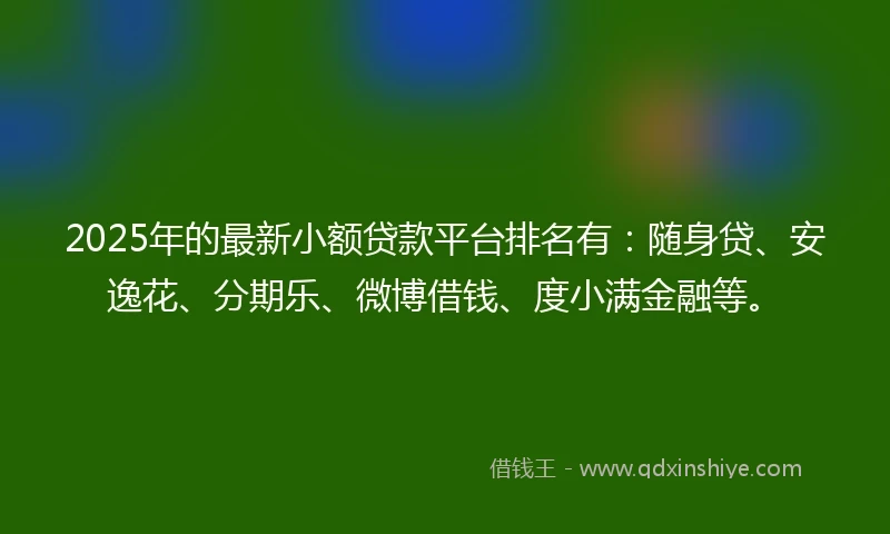 2025年的最新小额贷款平台排名有：随身贷、安逸花、分期乐、微博借钱、度小满金融等。