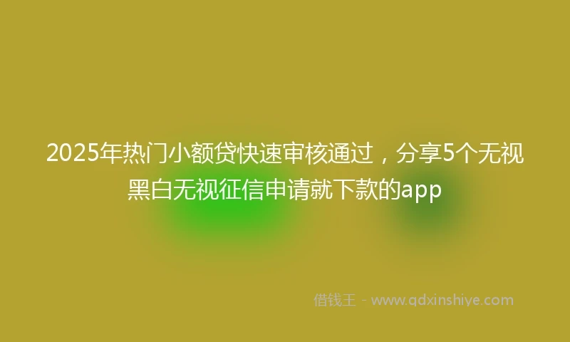 2025年热门小额贷快速审核通过，分享5个无视黑白无视征信申请就下款的app