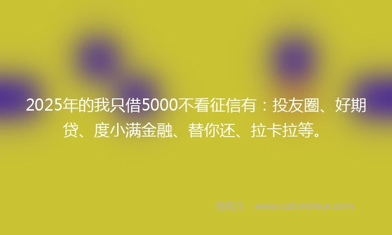 2025年的我只借5000不看征信有：投友圈、好期贷、度小满金融、替你还、拉卡拉等。