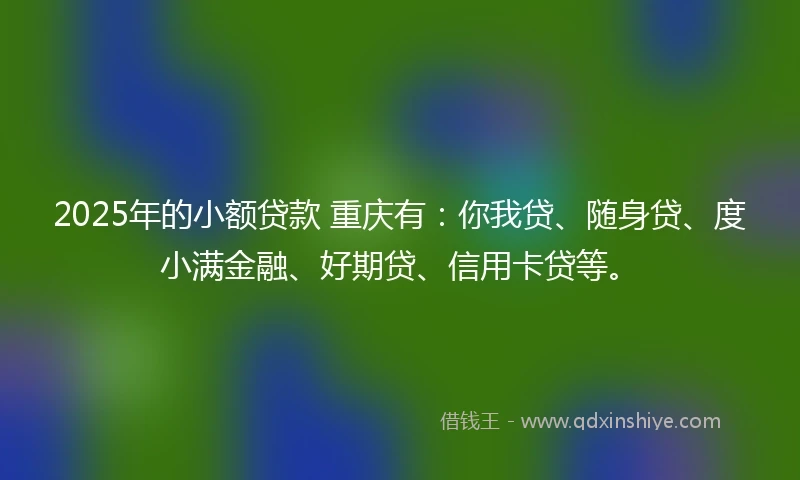2025年的小额贷款 重庆有：你我贷、随身贷、度小满金融、好期贷、信用卡贷等。