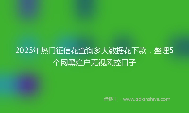 2025年热门征信花查询多大数据花下款，整理5个网黑烂户无视风控口子