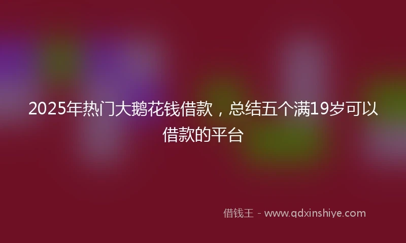 2025年热门大鹅花钱借款，总结五个满19岁可以借款的平台