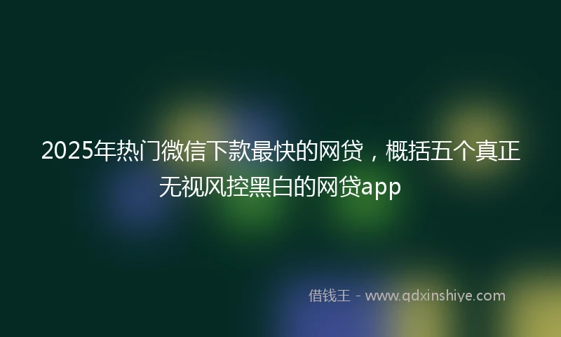 2025年热门微信下款最快的网贷，概括五个真正无视风控黑白的网贷app