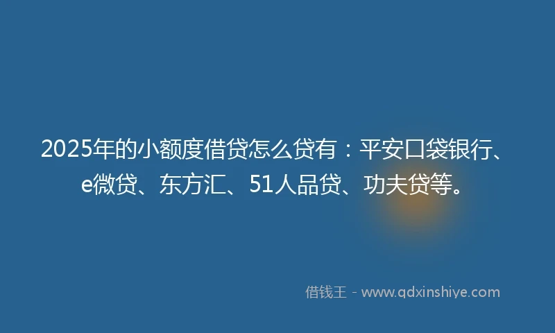 2025年的小额度借贷怎么贷有：平安口袋银行、e微贷、东方汇、51人品贷、功夫贷等。