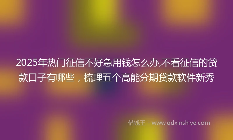 2025年热门征信不好急用钱怎么办,不看征信的贷款口子有哪些，梳理五个高能分期贷款软件新秀