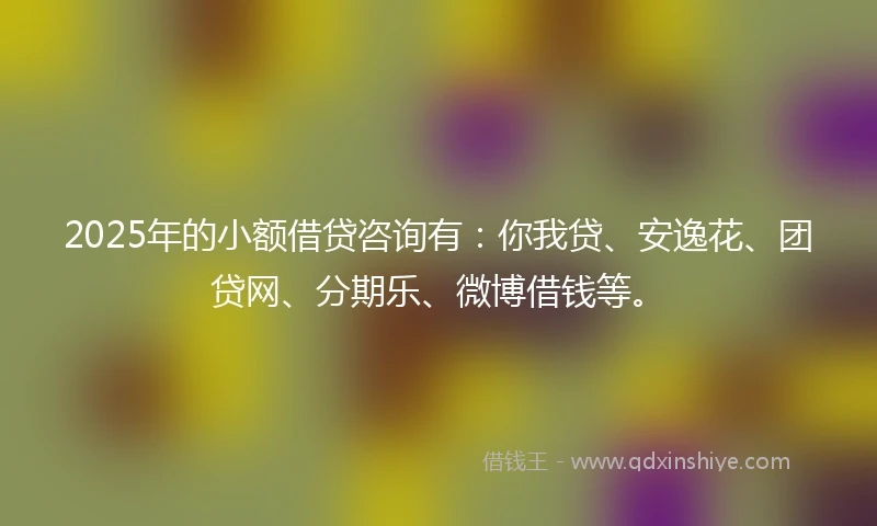 2025年的小额借贷咨询有：你我贷、安逸花、团贷网、分期乐、微博借钱等。
