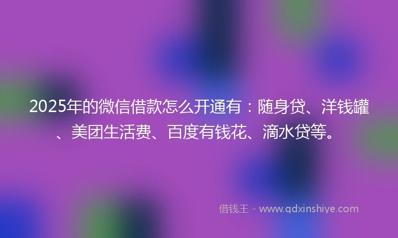 2025年的微信借款怎么开通有：随身贷、洋钱罐、美团生活费、百度有钱花、滴水贷等。