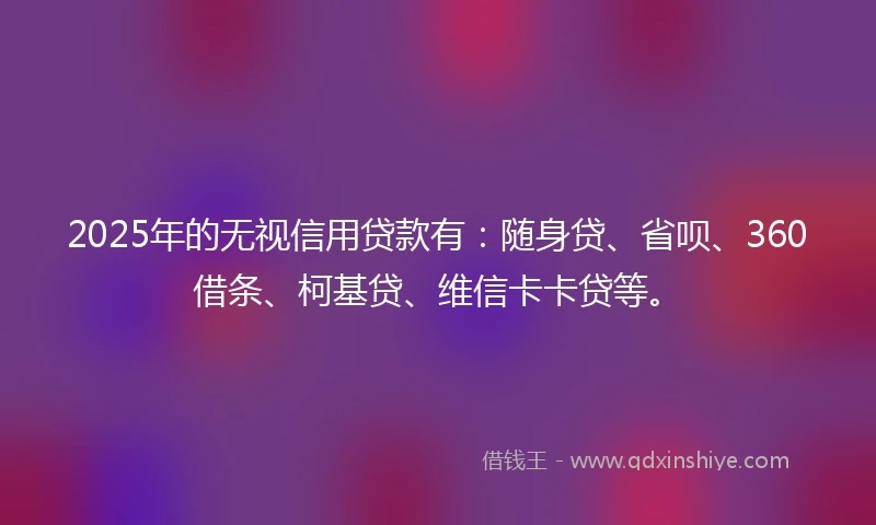 2025年的无视信用贷款有：随身贷、省呗、360借条、柯基贷、维信卡卡贷等。