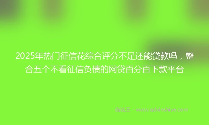 2025年热门征信花综合评分不足还能贷款吗，整合五个不看征信负债的网贷百分百下款平台
