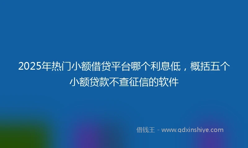 2025年热门小额借贷平台哪个利息低，概括五个小额贷款不查征信的软件