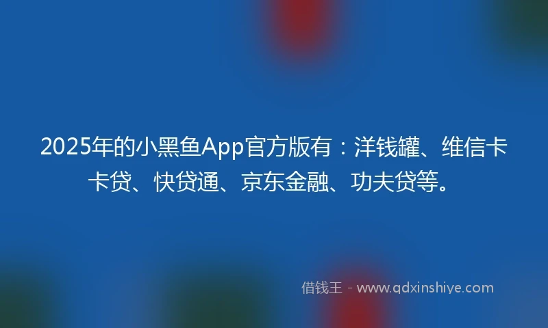2025年的小黑鱼App官方版有：洋钱罐、维信卡卡贷、快贷通、京东金融、功夫贷等。