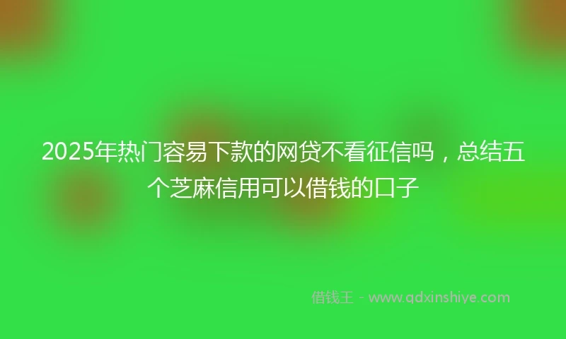 2025年热门容易下款的网贷不看征信吗，总结五个芝麻信用可以借钱的口子