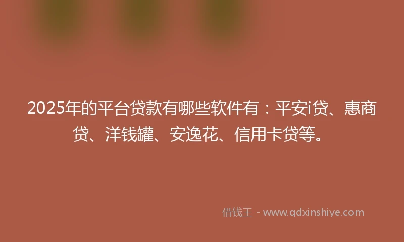 2025年的平台贷款有哪些软件有：平安i贷、惠商贷、洋钱罐、安逸花、信用卡贷等。