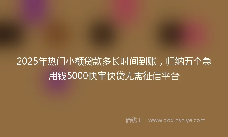 2025年热门小额贷款多长时间到账，归纳五个急用钱5000快审快贷无需征信平台